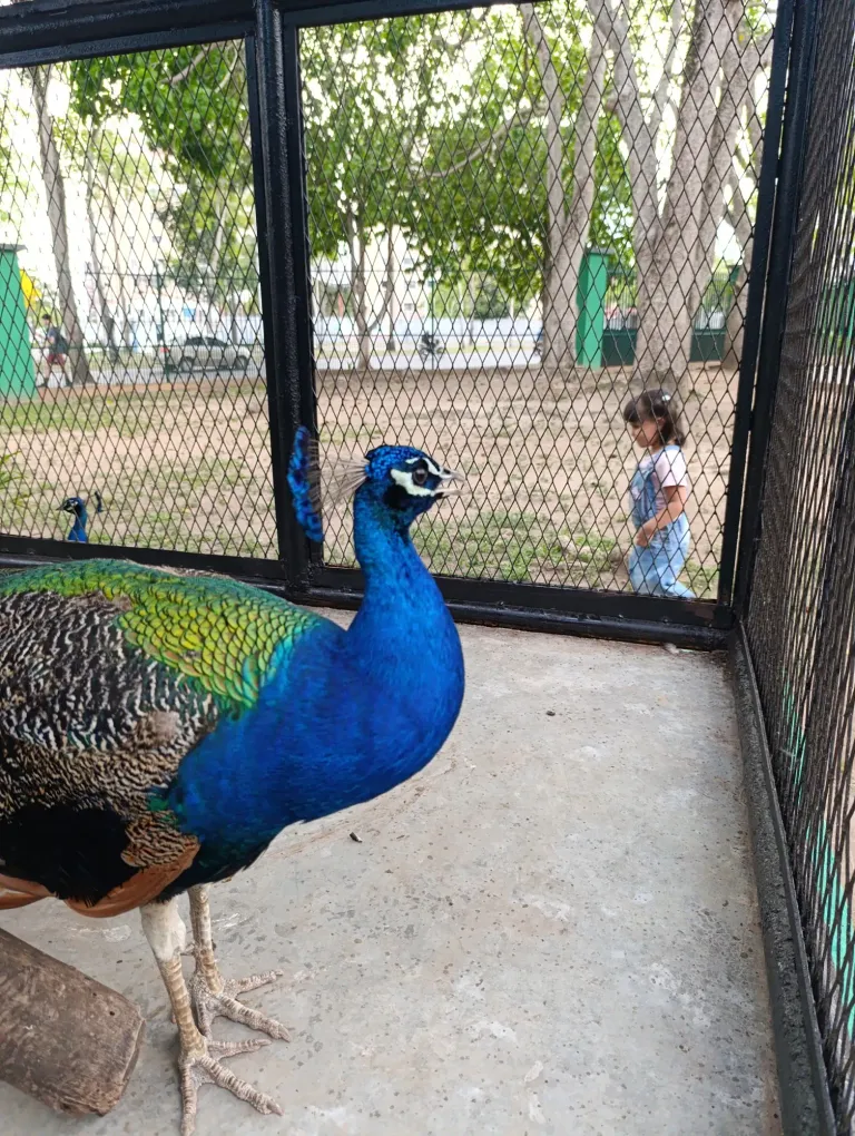 bXs9iHFEH5BQQ4Jp_1000095391.webp