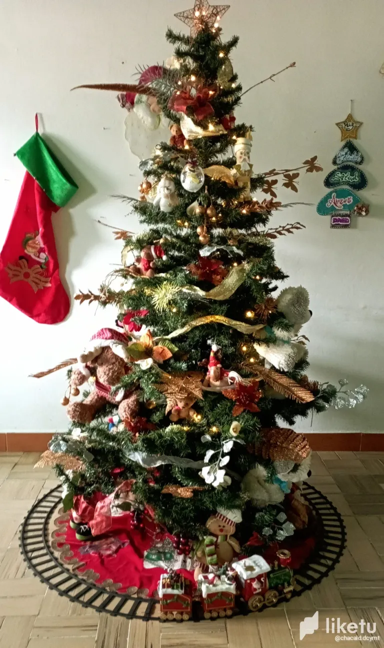 clq74zpe7050z8rszb4rp3xpl_IMG_20231215_141457.webp