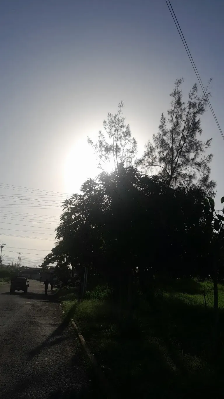 ciYtEh8S8rmNCnY6_IMG-20250729-WA0018.webp