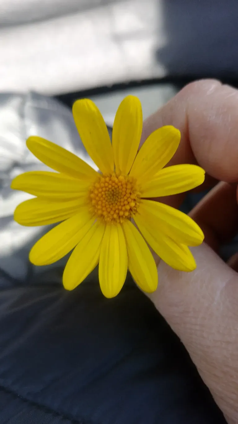 pHmKsq7VKHfG1cZl_137556.webp