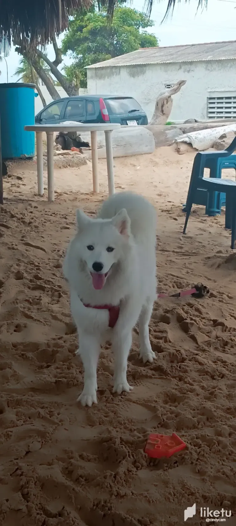 7RpThaiQkKdqvmal_IMG_20250629_134423.webp