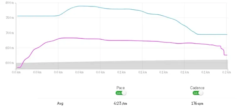 srkdwH2vWe1gZK3f_Screenshot_2024-12-03_at_20-19-58_3ra_serie_200_m_Run_Strava.webp