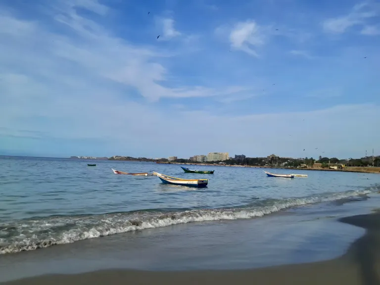 0Lha28VjdAopkXHy_20250503_072751.webp