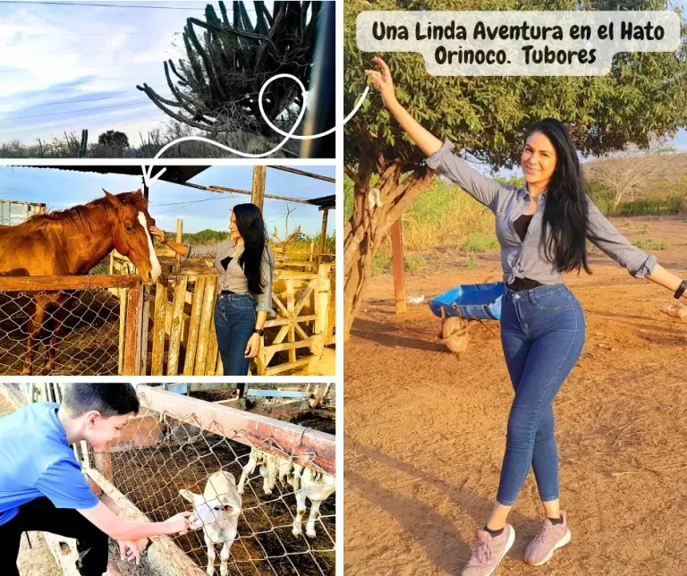 6PFUtb4EIl9nN3Nc_Copia_de_Copia_de_Copia_de_Copia_de_Copia_de_Pink_Minimal_Photo_Collage_Fac_20250406_210415_0000.webp