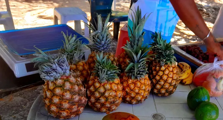 NLycnNNCtjTJcSZk_20250511_130140.webp