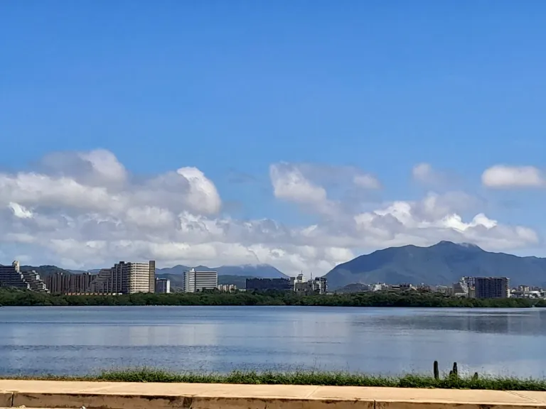 PuIY7eg3COgL8mco_20250719_100432.webp