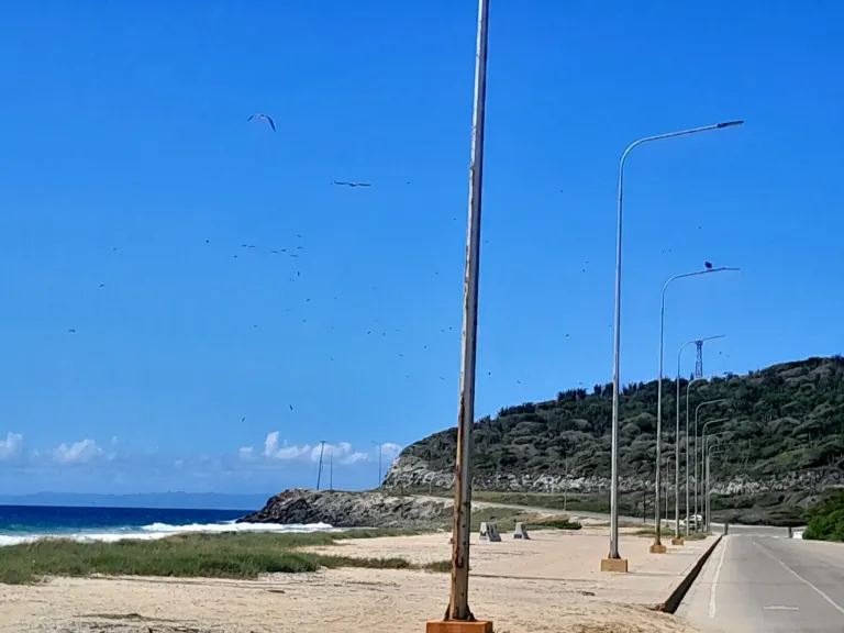 kXVpdKH8TOJ9jMNM_20250719_100813.webp