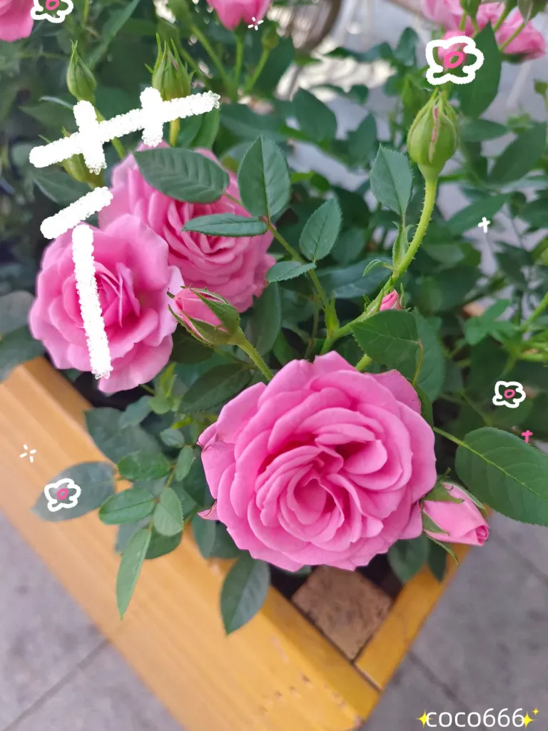 2ONWcYV0RZcWmVjm_MEITU_20250515_232147392_batch_2_1747322626037.webp