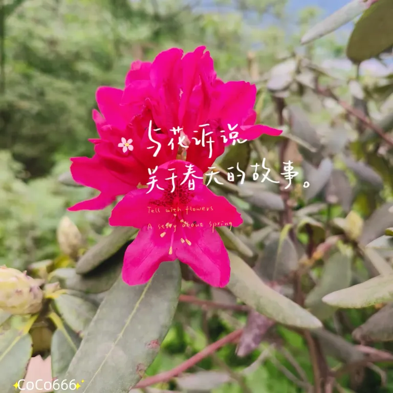 2b2ApN0S3NvVmDDW_MEITU_20250509_225155899_batch_3_1746802342208.webp