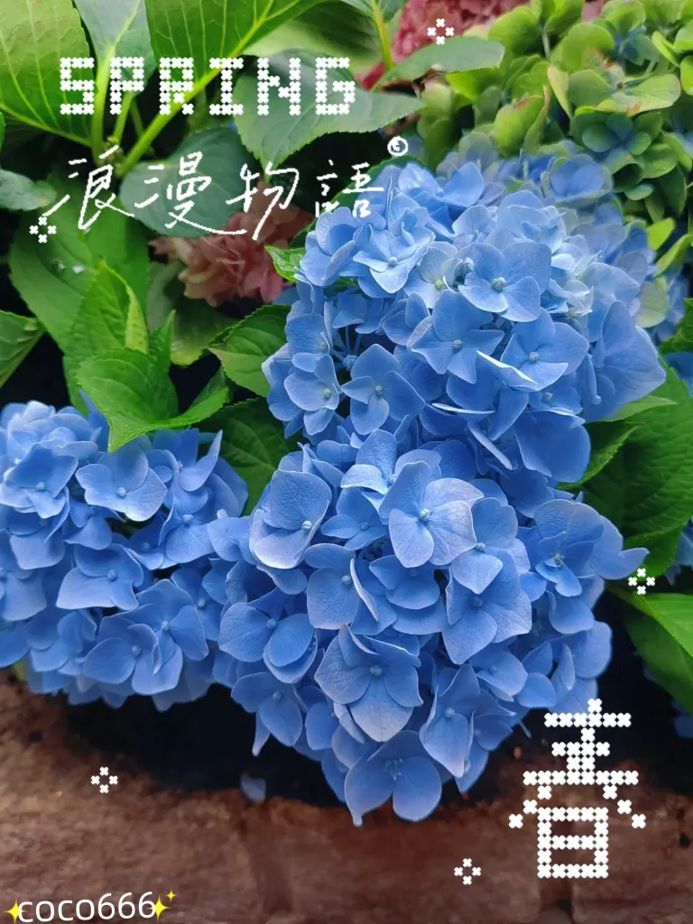 4gRZ9yOjm5GqfIt3_MEITU_20250519_232227852_batch_2_1747668197570.webp