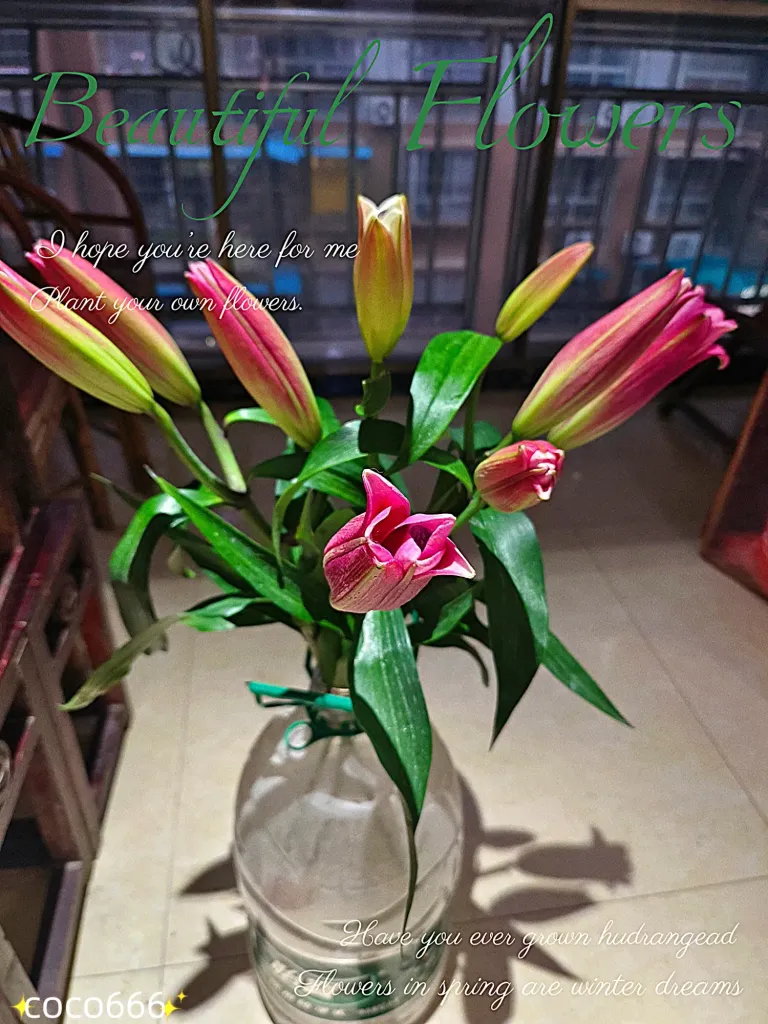 53OBrpmrlhdhCc1k_MEITU_20250131_192648646_batch_1_1738322977862.webp