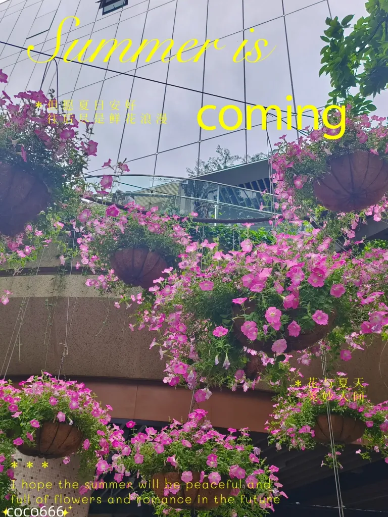 66wwrqnmztUrZqOX_MEITU_20250526_225816444_batch_3_1748271525184.webp