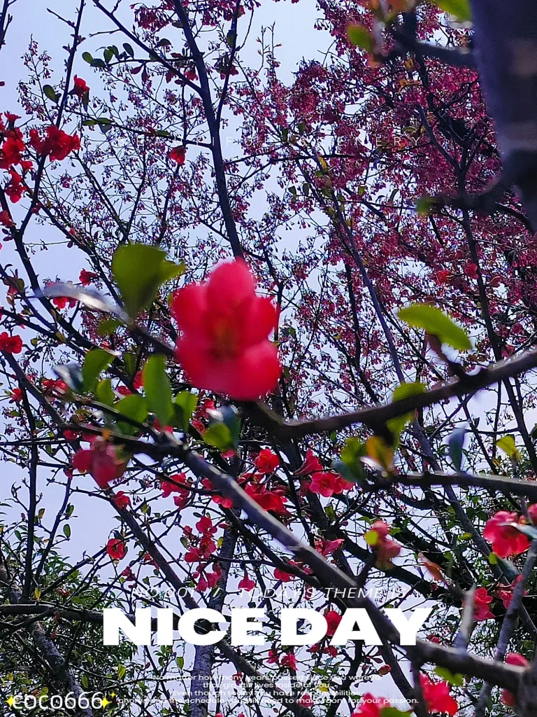 7l2w2pa6tBDYgr0s_MEITU_20250306_213426575_batch_3_1741268098318.webp