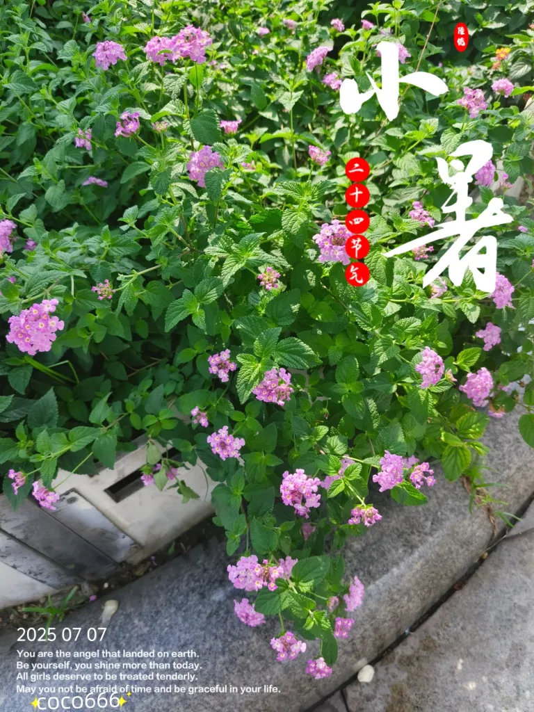 CqYvAvpR9kiabG0h_MEITU_20250707_214120724_batch_3_1751895731224.webp
