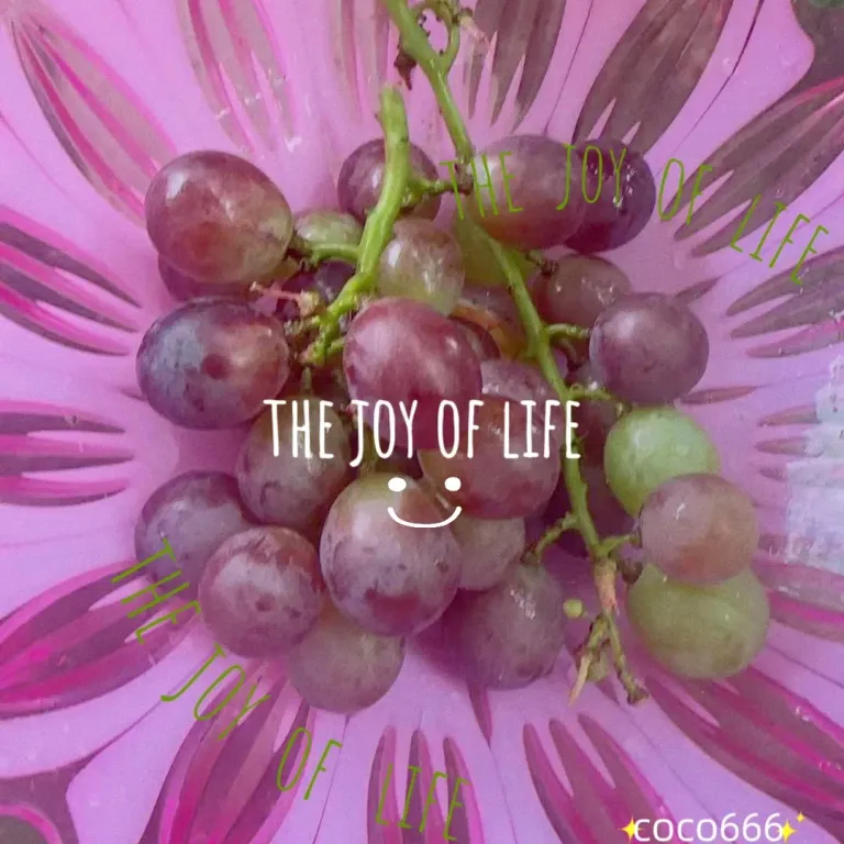 EpG2jfIu2auqfGfB_MEITU_20250813_230039040_batch_3_1755097275012.webp