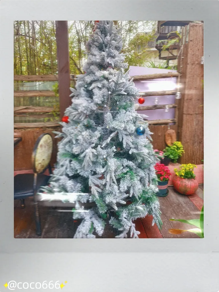 Jtq4ARis53lcs9mI_MEITU_20250314_192628597_batch_3_1741951620750.webp