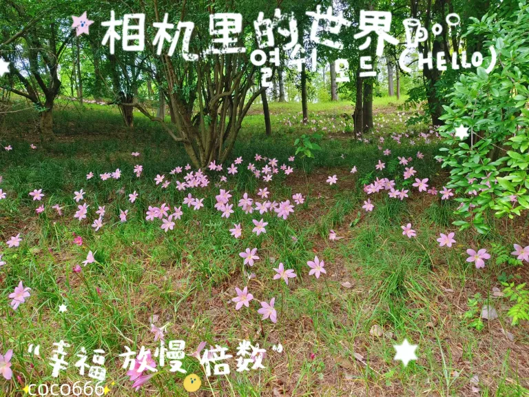 RPAooUGQ4LYSxOqe_MEITU_20250606_200426681_batch_2_1749211509236.webp