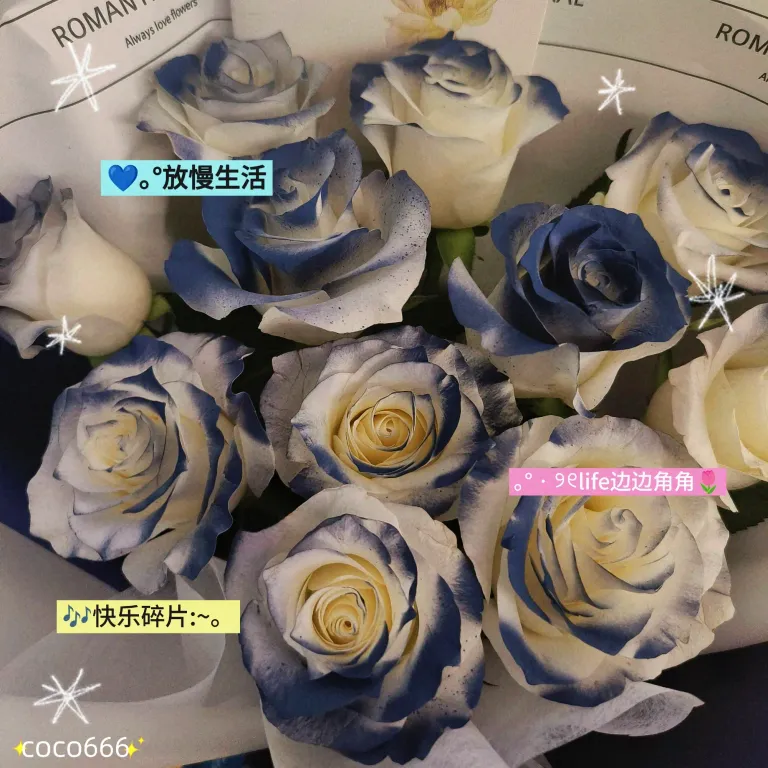 T0iHVu1WpMUoiF4r_MEITU_20250724_160128750_batch_2_1753490113972.webp
