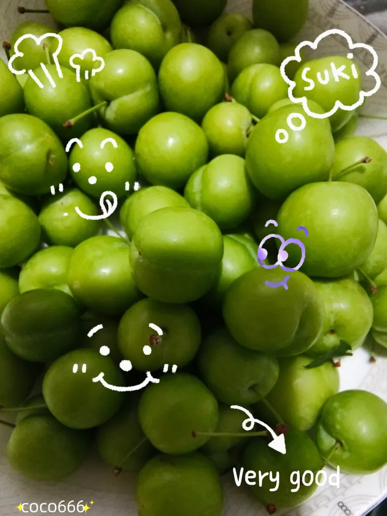 T2DTaMpXQRSRggdc_MEITU_20250608_225747758_batch_3_1749394720997.webp