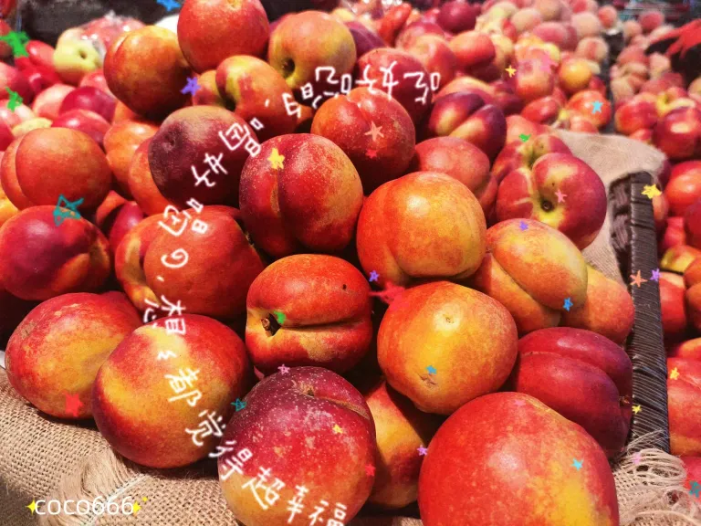 Wgif0WDCvIgjKmUO_MEITU_20250613_193909121_batch_3_1749814789334.webp