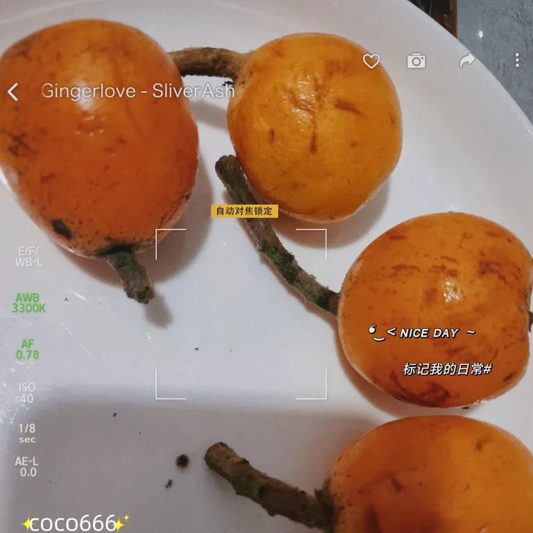 WhhowhAenHgH8j3V_MEITU_20250608_225707795_batch_1_1749394720179.webp