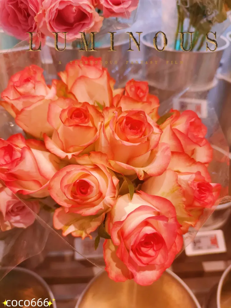 XZZwFWlXDHA2feBY_MEITU_20250711_224657996_batch_1_1752245301361.webp