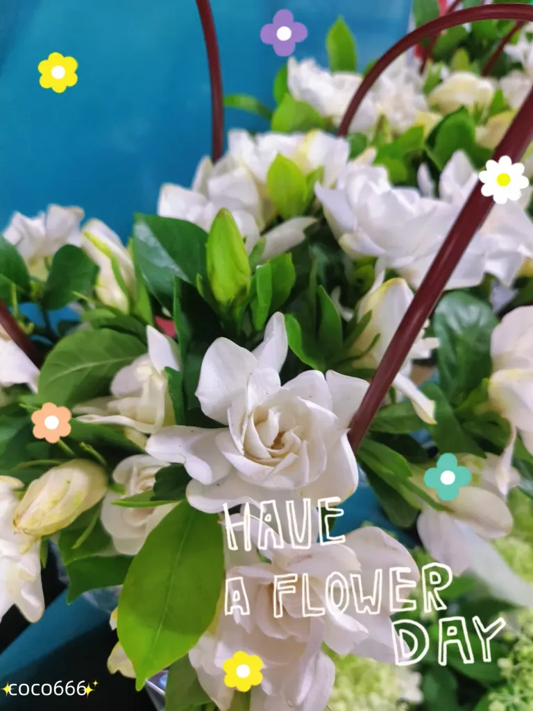 cp5hJxEEC1rIMAB4_MEITU_20250815_215413686_batch_3_1755266126914.webp