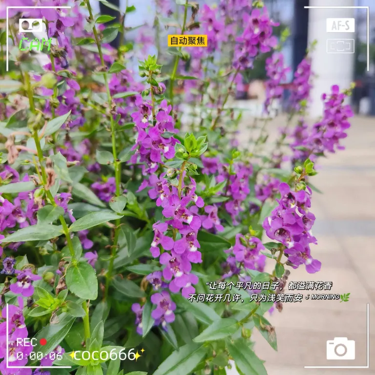 jEo42vvs6Nnwu1cv_MEITU_20250619_223654508_batch_2_1750343905326.webp