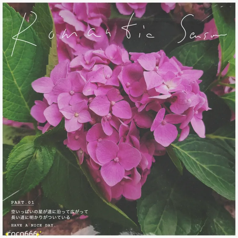ju5wZLHj7RHpNoy4_MEITU_20250610_232247561_batch_1_1749569070839.webp