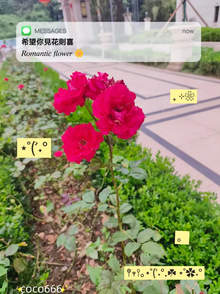 la6KYZmvRFl6L1hr_MEITU_20250620_231857411_batch_3_1750432780820.webp