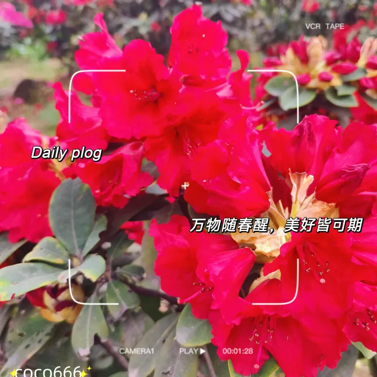 mosC1WnN3XgMWmCN_MEITU_20250511_235047849_batch_1_1746978687679.webp