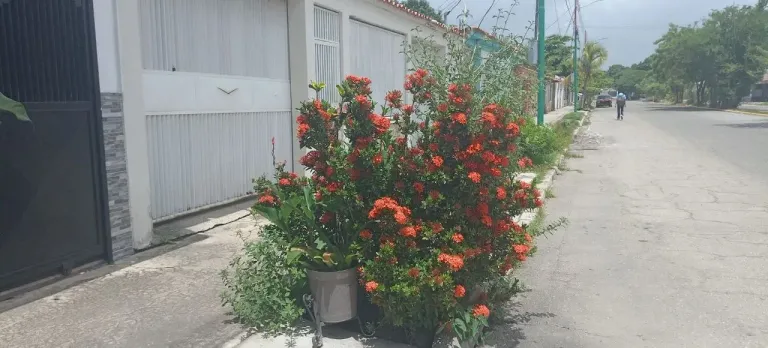 UNsQrI47fxg8JE07_8ll.webp
