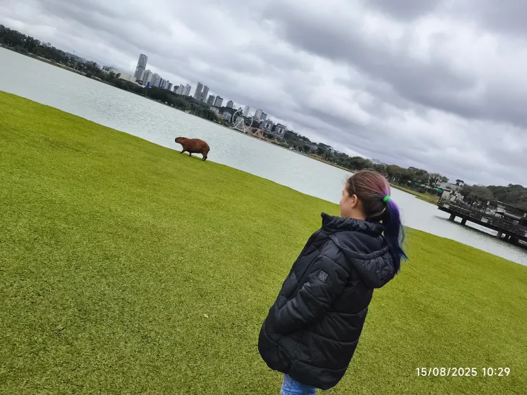 lm6lhQYvicqBSktn_1000021833.webp