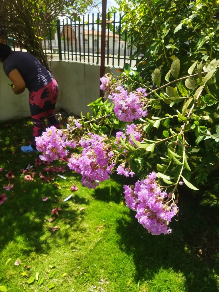 MUzNCmXyrjJHcBvd_IMG_20240717_112756.webp