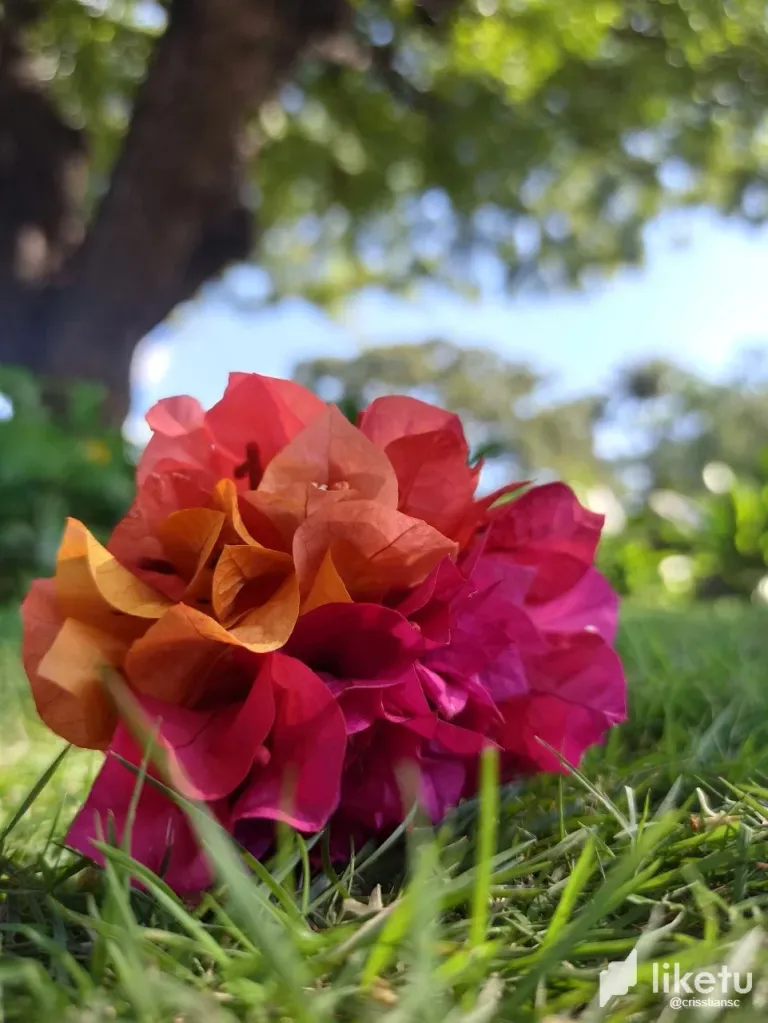 clpm3db8b0063sjsz0cgl7u4u_photo_2023-11-30_23-42-41.webp