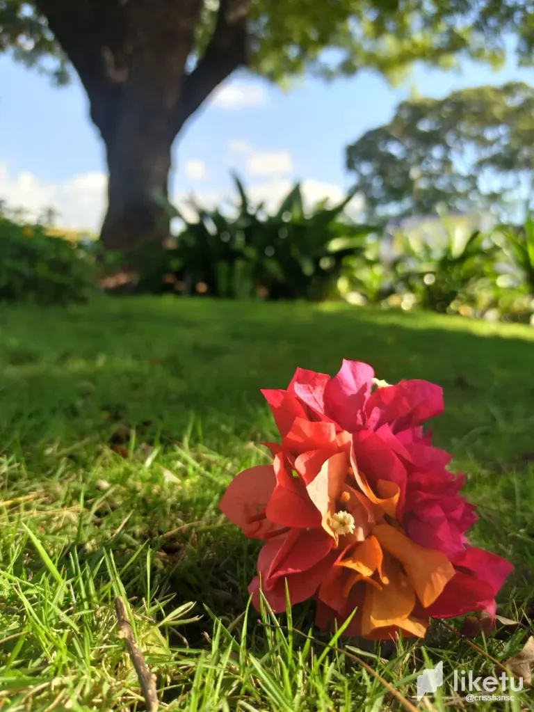 clpm3ddo202yy9kszdb62al0r_photo_2023-11-30_23-42-38.webp