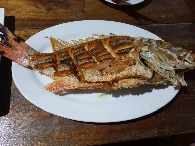 3ckWCttr3WtL70l1_1000096382.webp