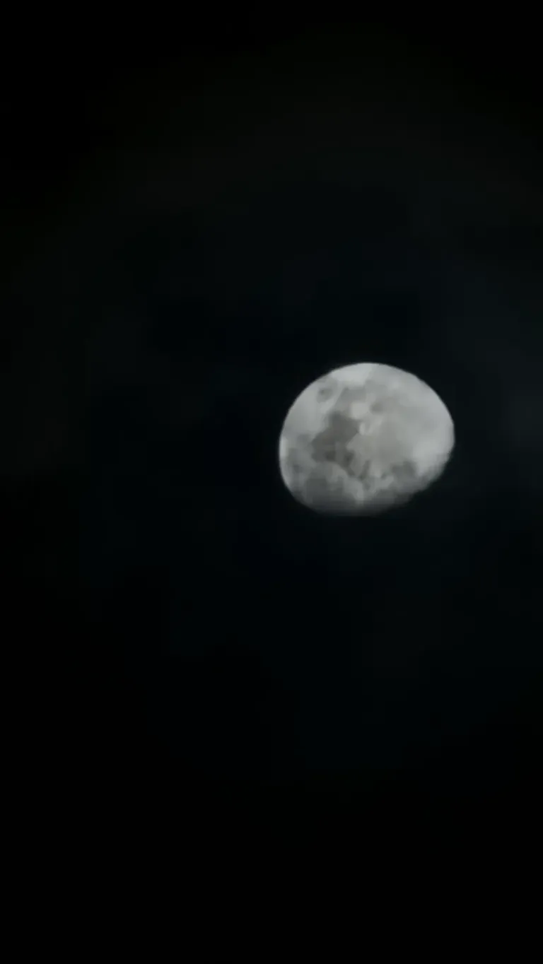 3ePtLBtrpwaheVRL_1001173768.webp
