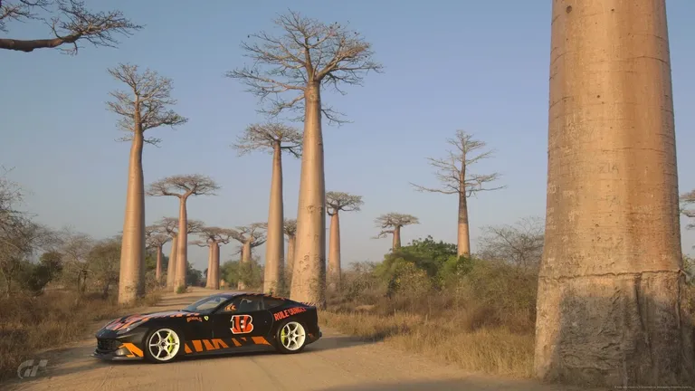 cld1neem3007412sz9c3bg6zg_Allee_des_Baobabs_-_Toliara_Madagascar.webp