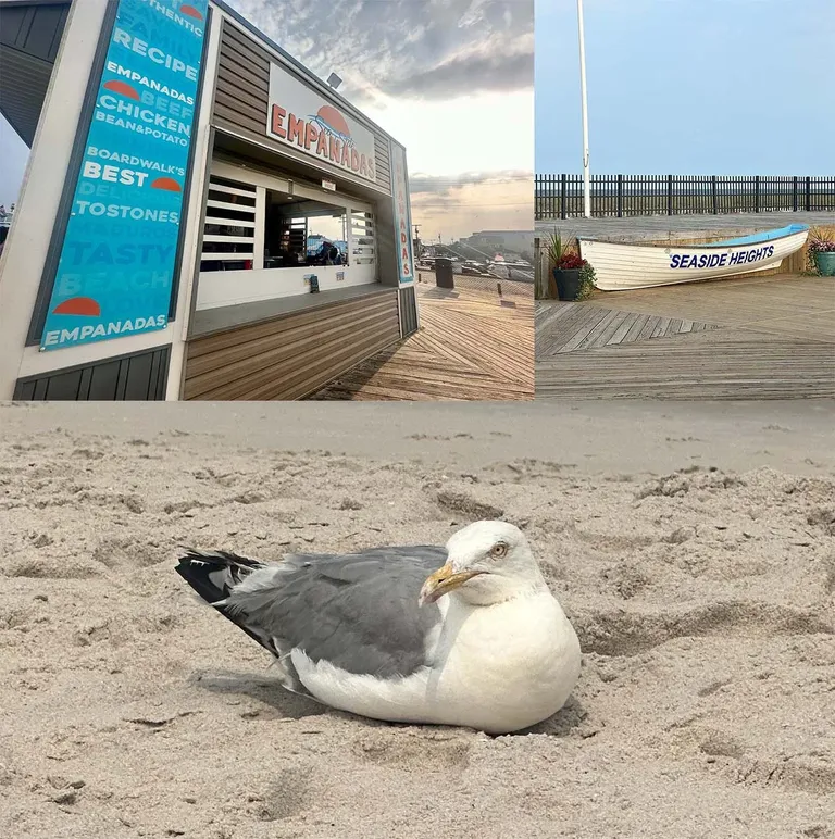 cll0xeoz000050iszd21d0fnj_boardwalk.webp