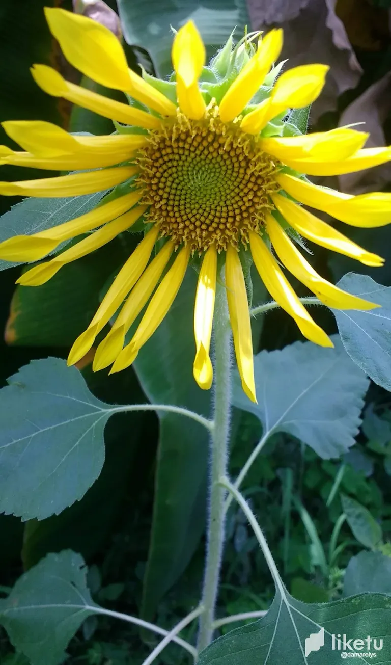 clklqt06l00f64isz4r3f47nq_IMG-20230626-WA0007.webp