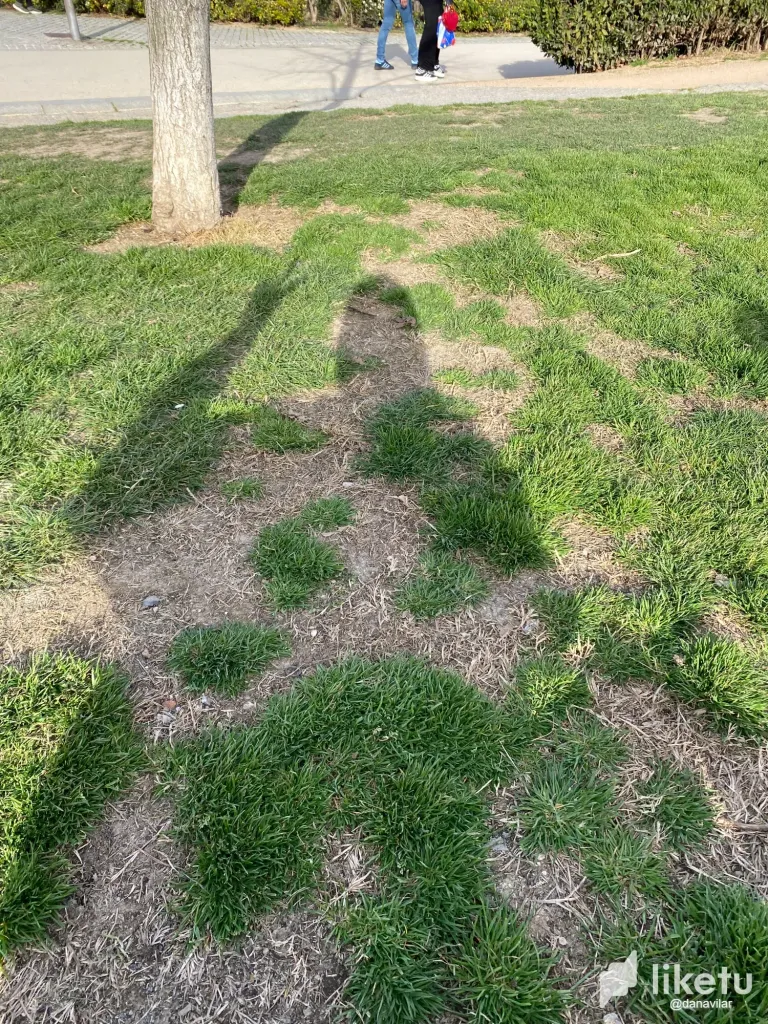 tsgP9ieJhPKlk4G9_E533B766-2C4D-42F1-BD83-D4A65FD45E73.png