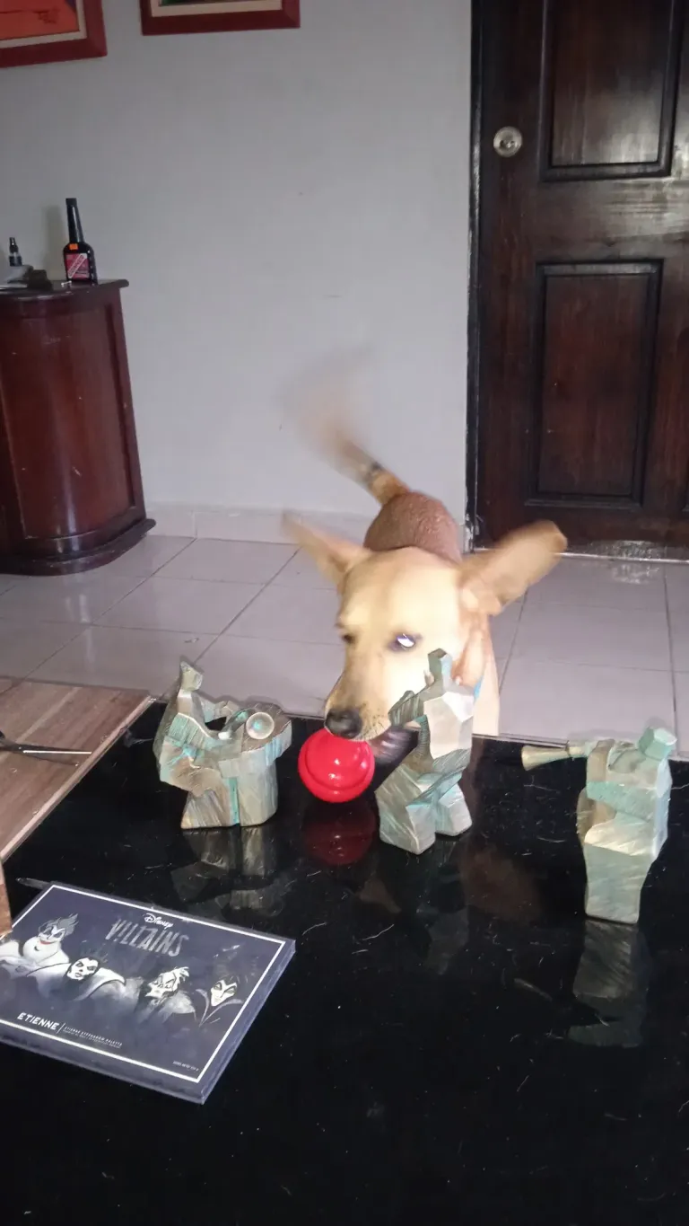 4SKaATbTR7hzPpUR_IMG_20250222_182808.webp