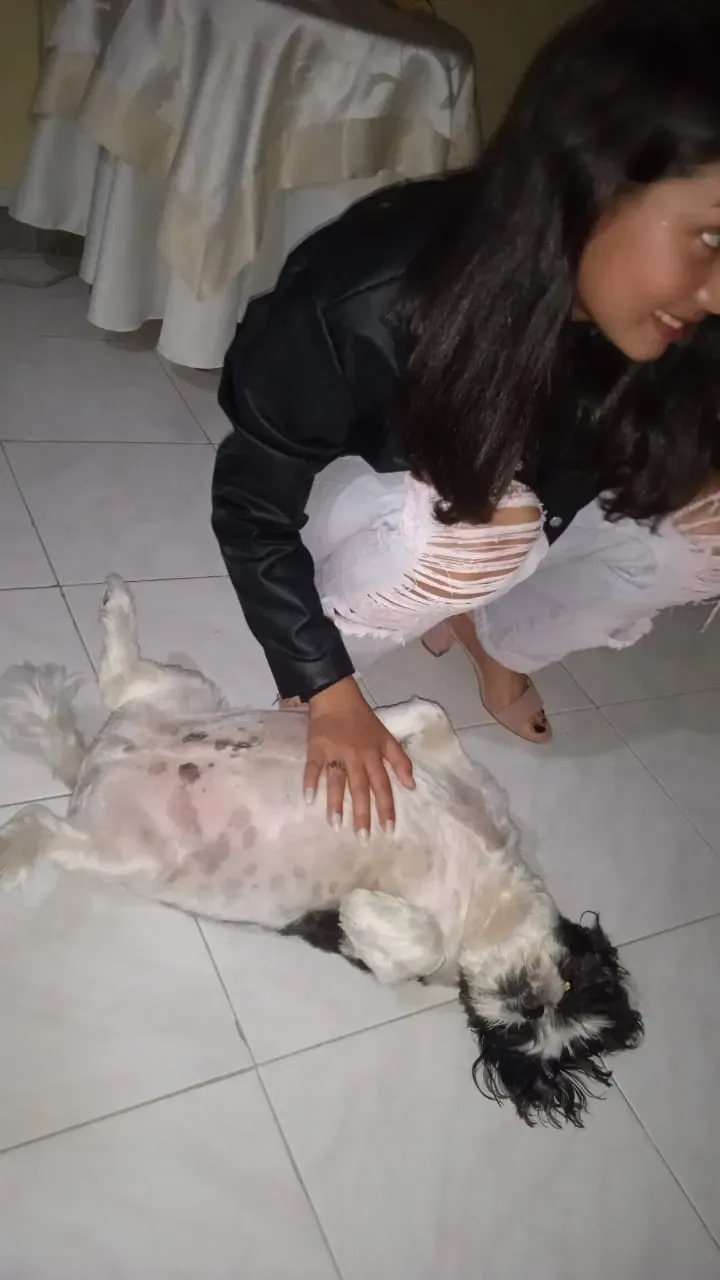 MF7C2Y8NAp8ovVdD_IMG-20250107-WA0030.webp
