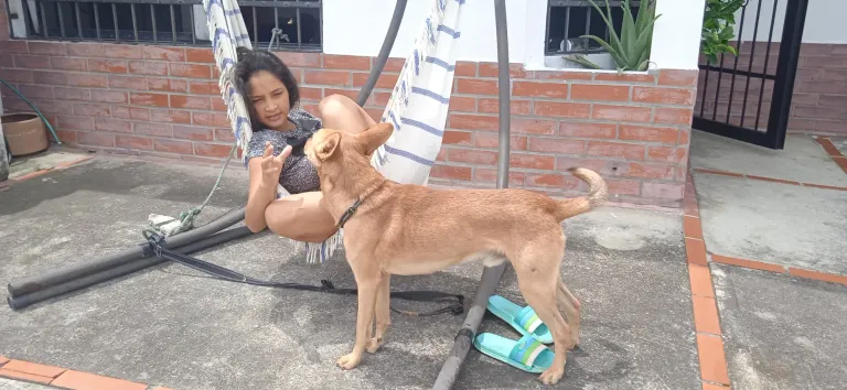 fHCOg1APmOszdqk5_38330.webp