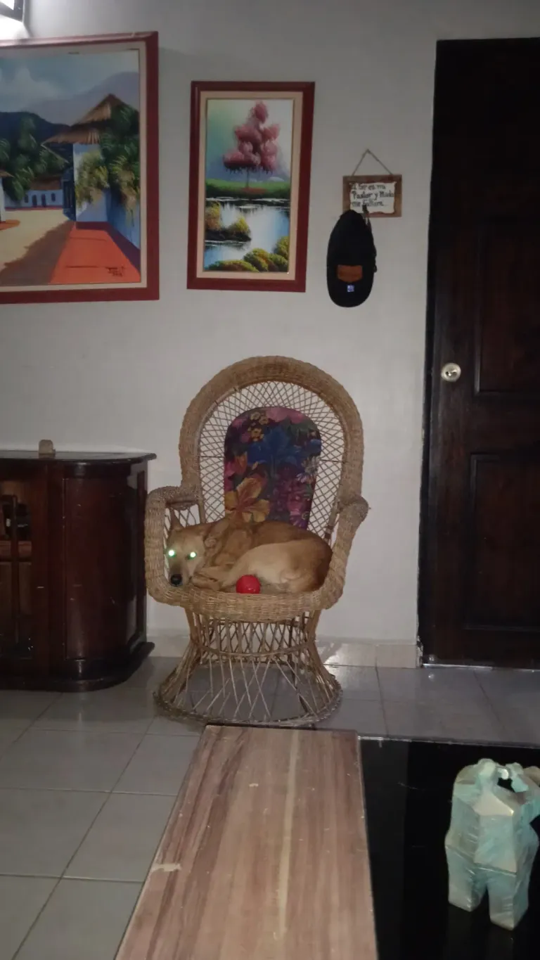 pdWOYJD4ecmYrqWB_IMG_20250223_184150.webp