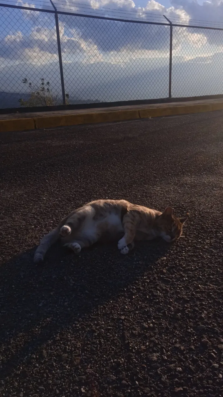 s2YXjqRp2Tpdou56_IMG_20250127_074847.webp