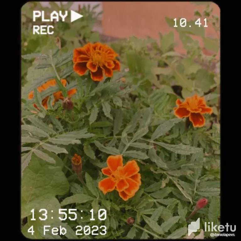 cldq99vho00gp67sz0wwidmz8_WhatsApp_Image_2023-02-04_at_15.36.37.webp