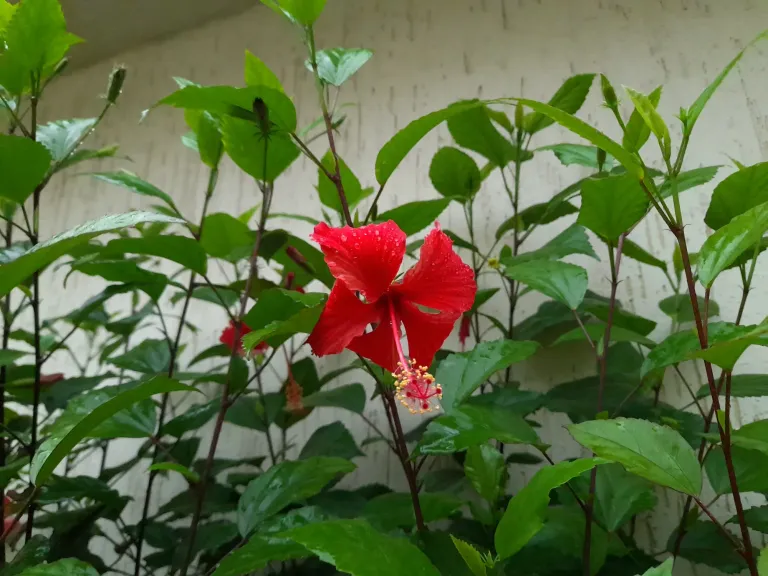 7l9MfrpavRCi6Ym1_20250613_090446.webp