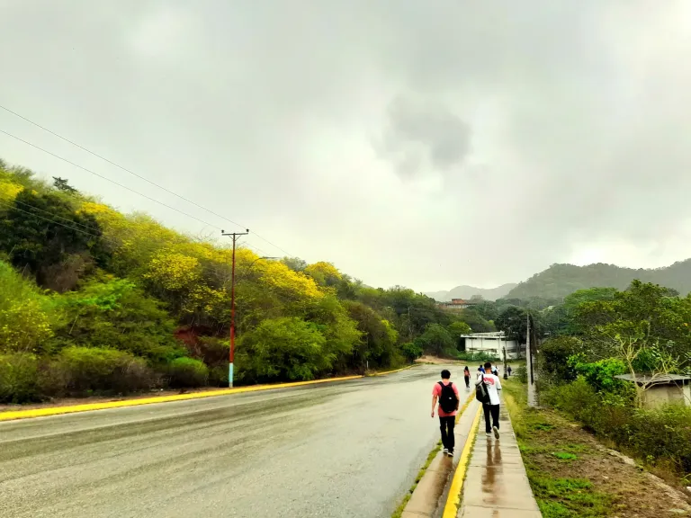 r4mpzk9a7Oe7k8Cs_20250611_095648.webp